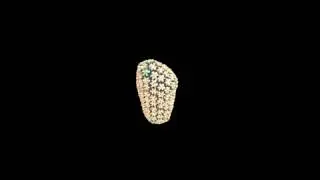 HIV-1 Capsid VR visualization