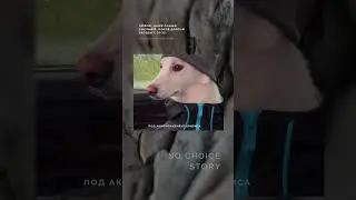 #humandesign #дизайнчеловека #дизайнлюдини#memes#fun#jokes#joke#truth#life#кризис