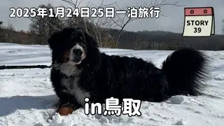 【なな物語】2025年の思い出旅行　年末のご挨拶