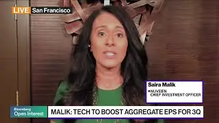 Stocks Likely to Rally Into Year-End, Says Nuveen's Malik