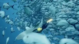 ABZ&Ucirc; - Trailer with Komponist Austin Wintory (PS4)