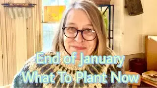 Cool Season Seed Starts: Late January