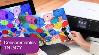 TN-247Y | Consommables | Brother