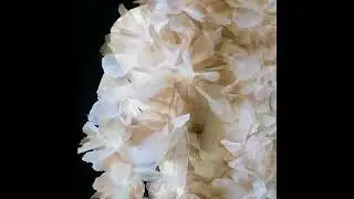 3D Ombre Floral Lace: Brown Organza Appliqu&eacute; for DIY Wedding Dress & Gown Embellishment