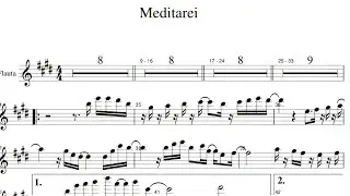 Meditarei - Arranjo Flauta