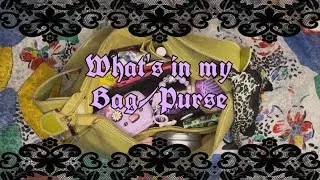 What&rsquo;s in my bag/purse 👜🪞💄🐇