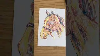 Horse Art! #horseart #horsedrawing #horsefan #horsepainting #equinelove #equineart #equinelove #art