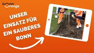 Grundreinigung Parkbuchten & Parktaschen | Sauberes Bonn
