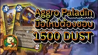 hearthstone across the timeways(หมีกินผัก)Aggro Paladin มือใหม่ต้องชอบ
