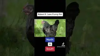 Robert E. Lees Funny Pet #civilwarhistory