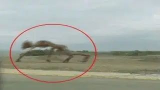 Unexplained Phenomenon Caught on Camera: Tracking Camera Captures Something Strange