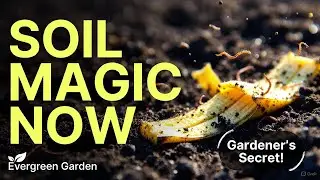 This Grocery Scrap Turns Your Soil Into a Microbe Powerhouse &ndash; No Compost Needed