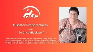 Disaster Preparedness and First Aid for Pets