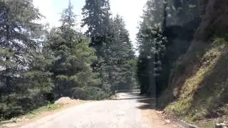 Narkanda - Beautiful Apple Orchards