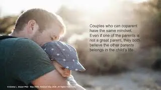 High Conflict Coparenting Tips: A Training for Family Law Attorneys