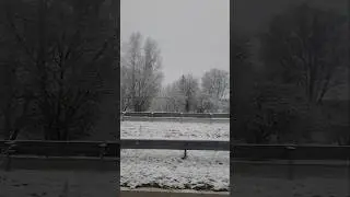 #riga #winter #wonderland #snow #rīga #trending #travel #viralvideo #latvia #latvija #january #viral