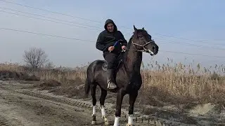 УЛОКЧИ ОТ  СОТИЛАДИ...