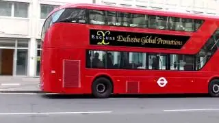 Excluss London Bus Advert