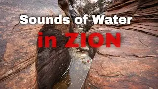 Sounds of water in Zion National Park