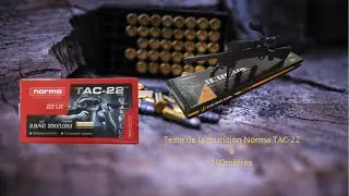💥Test à 100 mètres avec la  Norma tac 22 et la Bergara Rimfire Bmr Carbon💥🎯 (Par8)