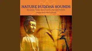 Deep Introspection Music