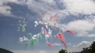 San Donato di Tagliacozzo 2017- Apertura spettacolo diurno Pirotecnica Paolelli /Mattei
