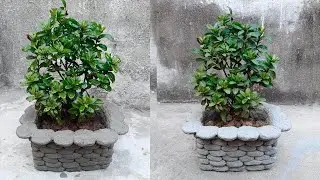 Amazing Cement Planter Making | Hom To Make Cement Planter | ASMR by Aditya | Craft
