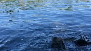 River Sound Download Free Gaming Sound Effects and Music