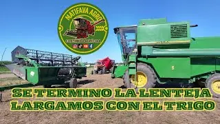 COSECHA DE LENTEJA Y TRIGO 2025