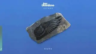 ilan Bluestone - Guru