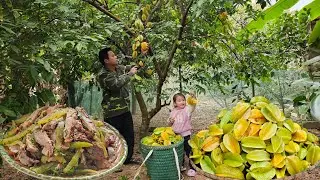 Harvesting star fruit go to market-Cooking,Starfruit salad with grilled meat.