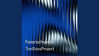 Feierschwein (Radio Version)