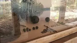 hike to Fort Gadsden in Florida