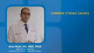 Common Stroke Causes