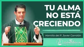 ¡Tienes Todo Para Llegar a Ser Santo!   | Homilía de hoy | P. Javier Carralón