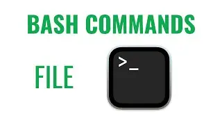 Bash Commands - file command