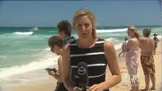 Tiger Sharks Feed On Dolphin Carcass Close To Shore