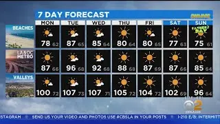 Amber Lee's Weather Forecast (June 14)
