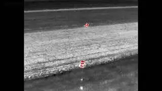 Group of feral pigs shot with thermal drone assistance   Aerial Assisted Culling