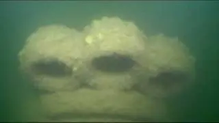 Thomas Wilson Shipwreck, September 2009