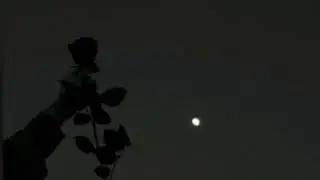 WhatsApp status new 2019