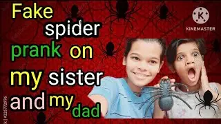 Fake spider 🕷attack on my sister and my dad prank video [ @Deeptifamilyvlog ]#viralvideo #prankvid