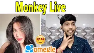 Only Roasting Live on Omegle | Try not to Laugh | AnuragPg
