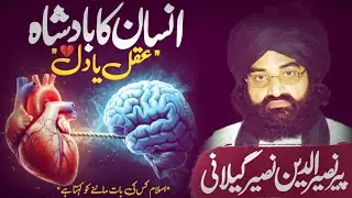Aqal ya Dil? | Islam Kiski Sun'ne ka Kehta Hai? | Heart vs Mind | Dimaag | Aqal | #naseeruddinshah 