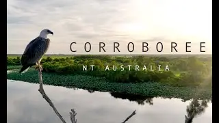 Corroboree Billabong, NT, Australia