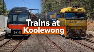 Trains at Koolewong | Passenger & Freight Action