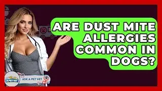 Are Dust Mite Allergies Common In Dogs? - Ask A Pet Vet