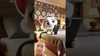 #funny 🐈 cat #animation #catton #cat #caton #kitten #cute