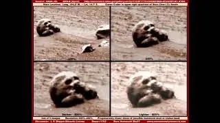LEAKED Insider Recording About NASA UFOs Aliens Moon Bases Apollo