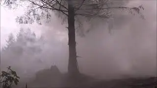 Bang Chain In The Woods
